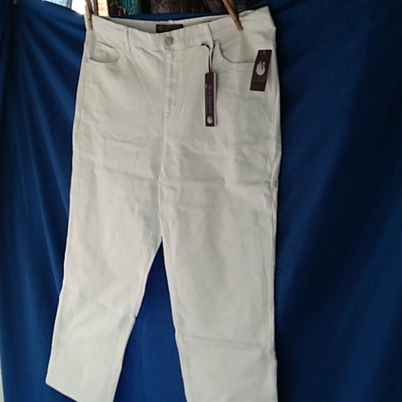 Gloria Vanderbilt Denim - Gloria Vanderbilt pants size 20 W short